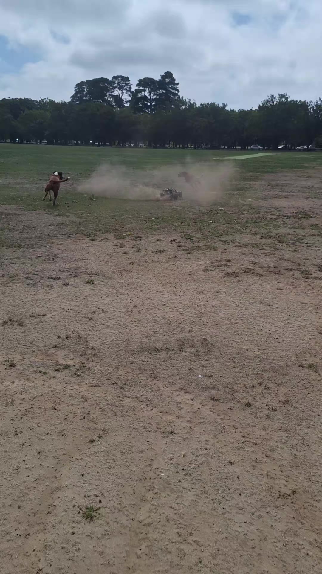 @boxerbrothers73