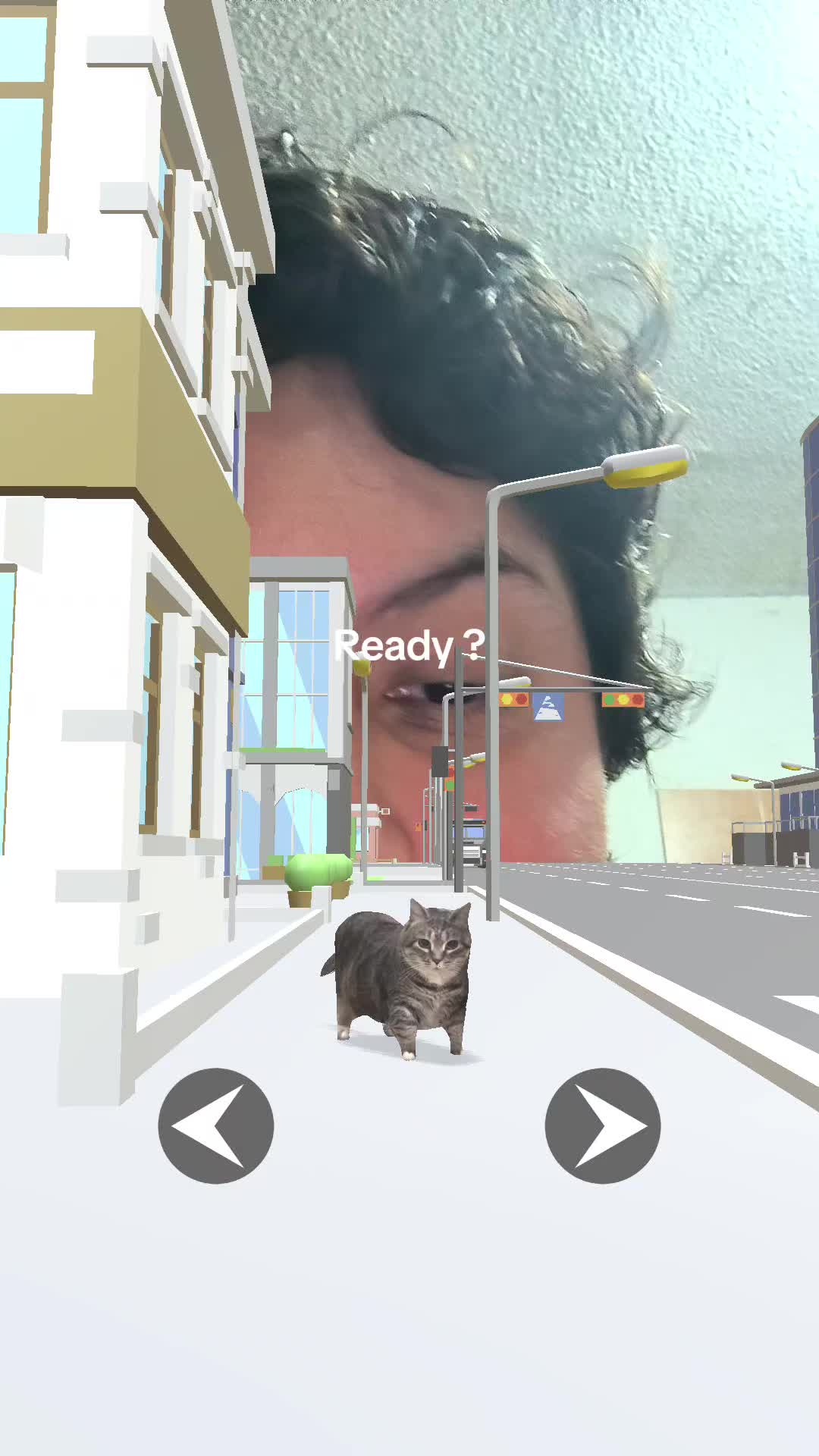 @user9431455058879