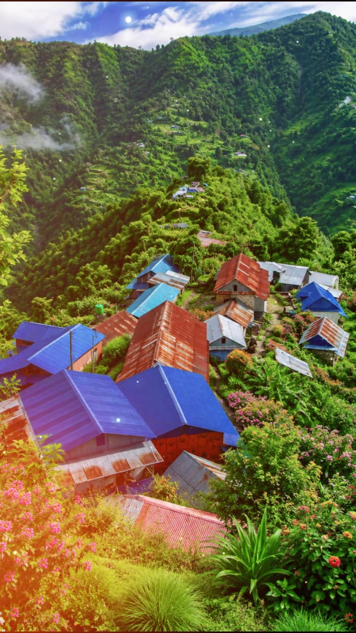 @𝗠𝗣 𝗦𝘂𝗯𝗲𝗱𝗶
