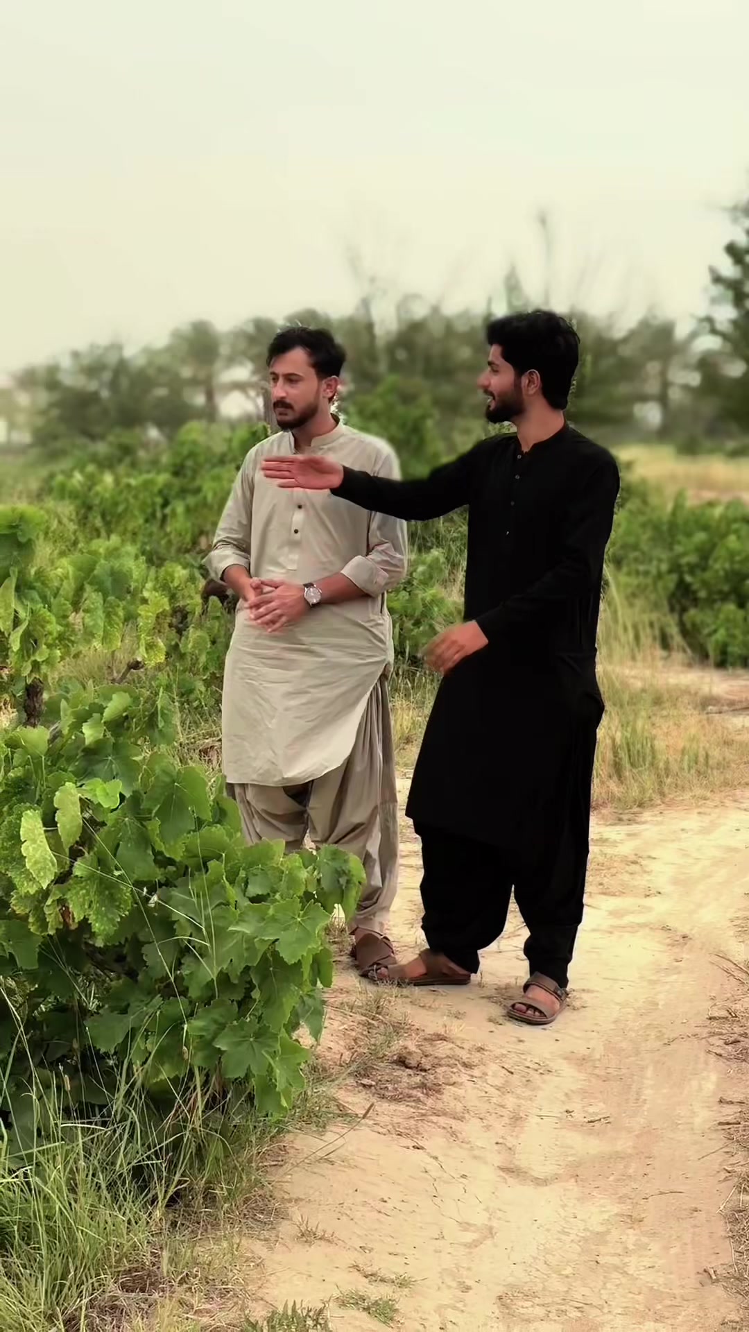 @میروانی مہران ♥️✌️