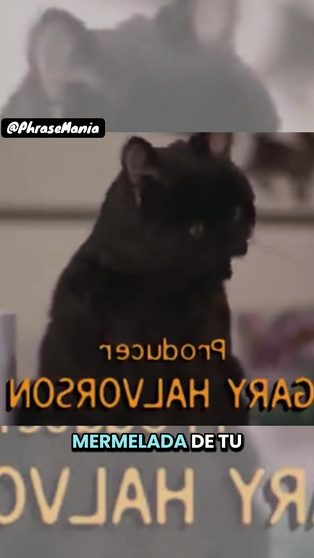 @PhraseMania