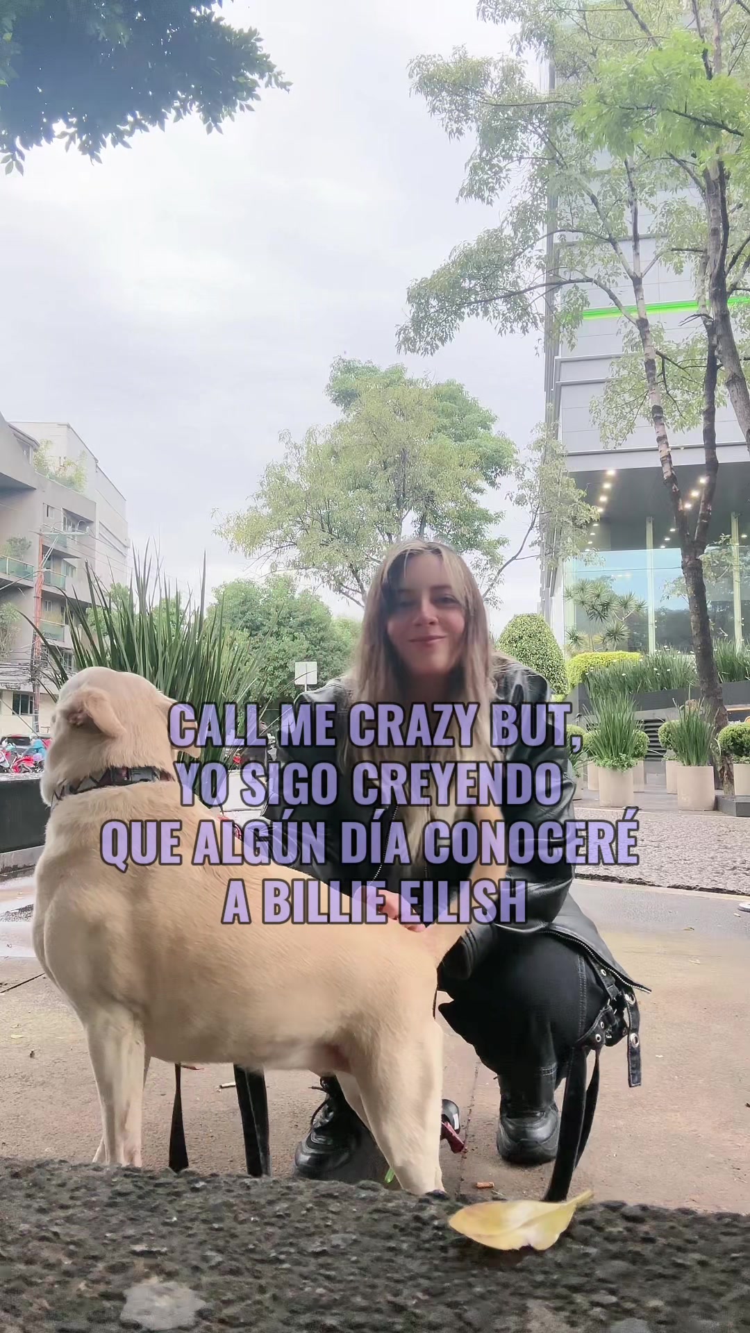 @Xims Lopez