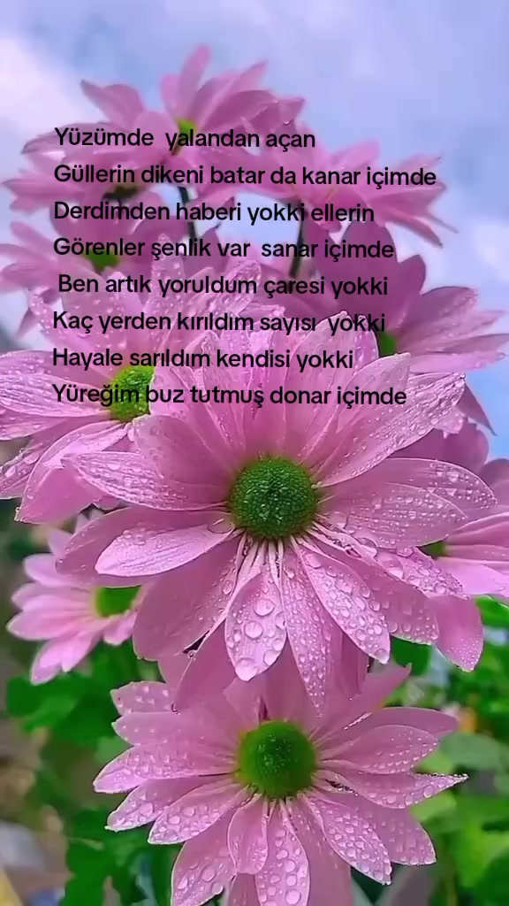 @Zübeyde karakaş 💜💙❤🩵