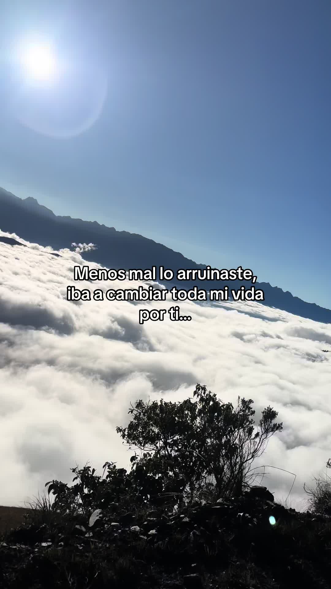 @Bayolet_diana👑