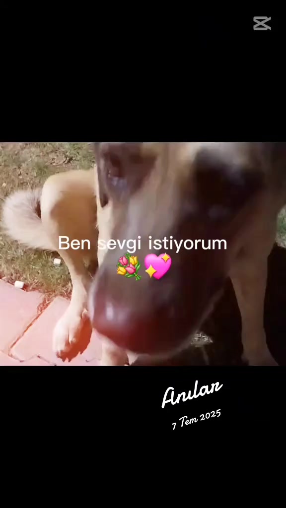 @Naime Sultan