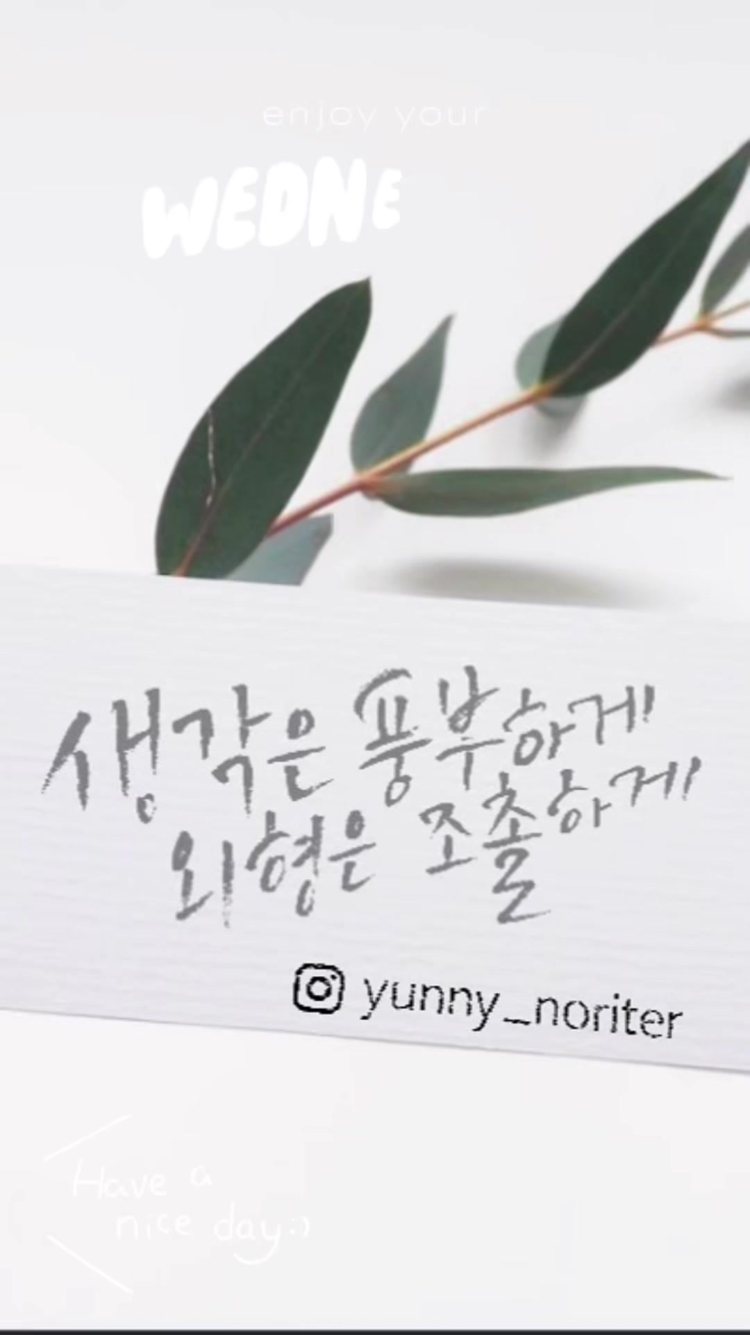@YUNNY_CALLI(김수연)