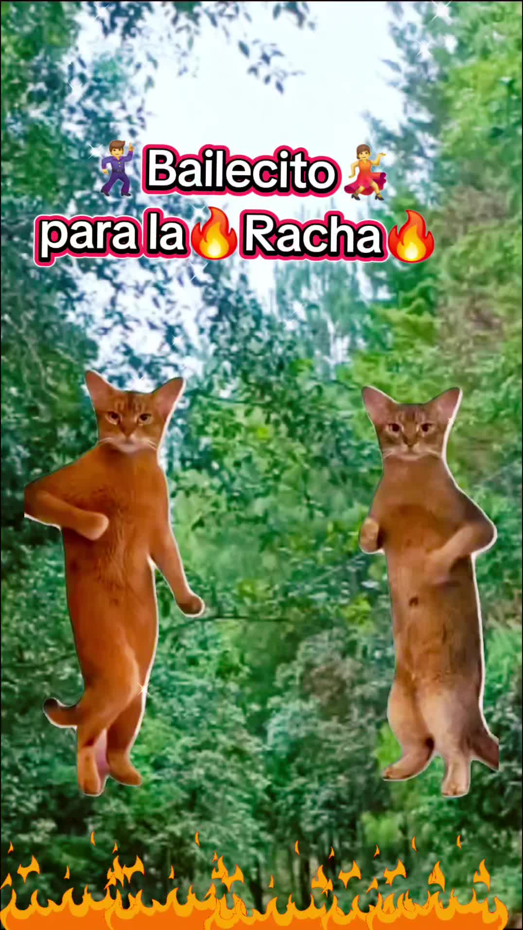 @&diams;️🔟&diams;️Chaparrita🥛🤍