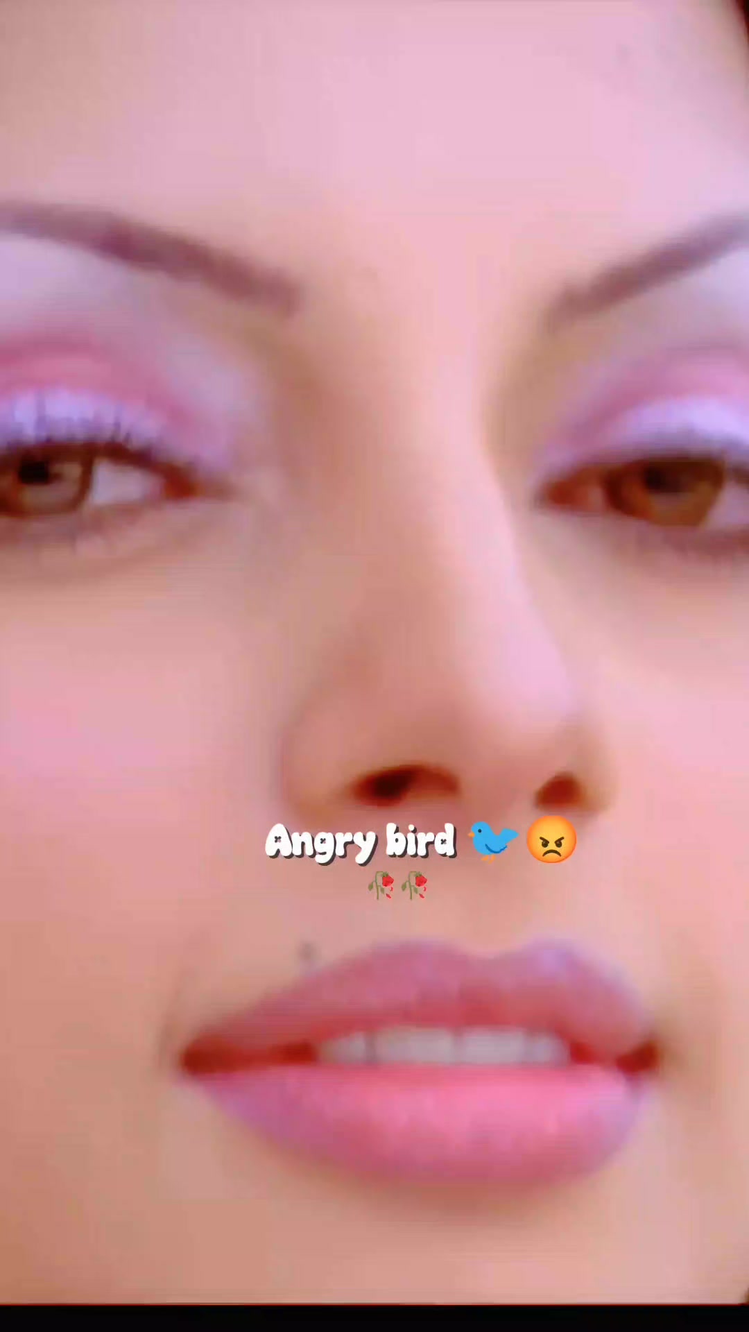 @💫𝖆𝖓𝖌𝖗𝖞 𝖇𝖎𝖗𝖉𝖘💫💥