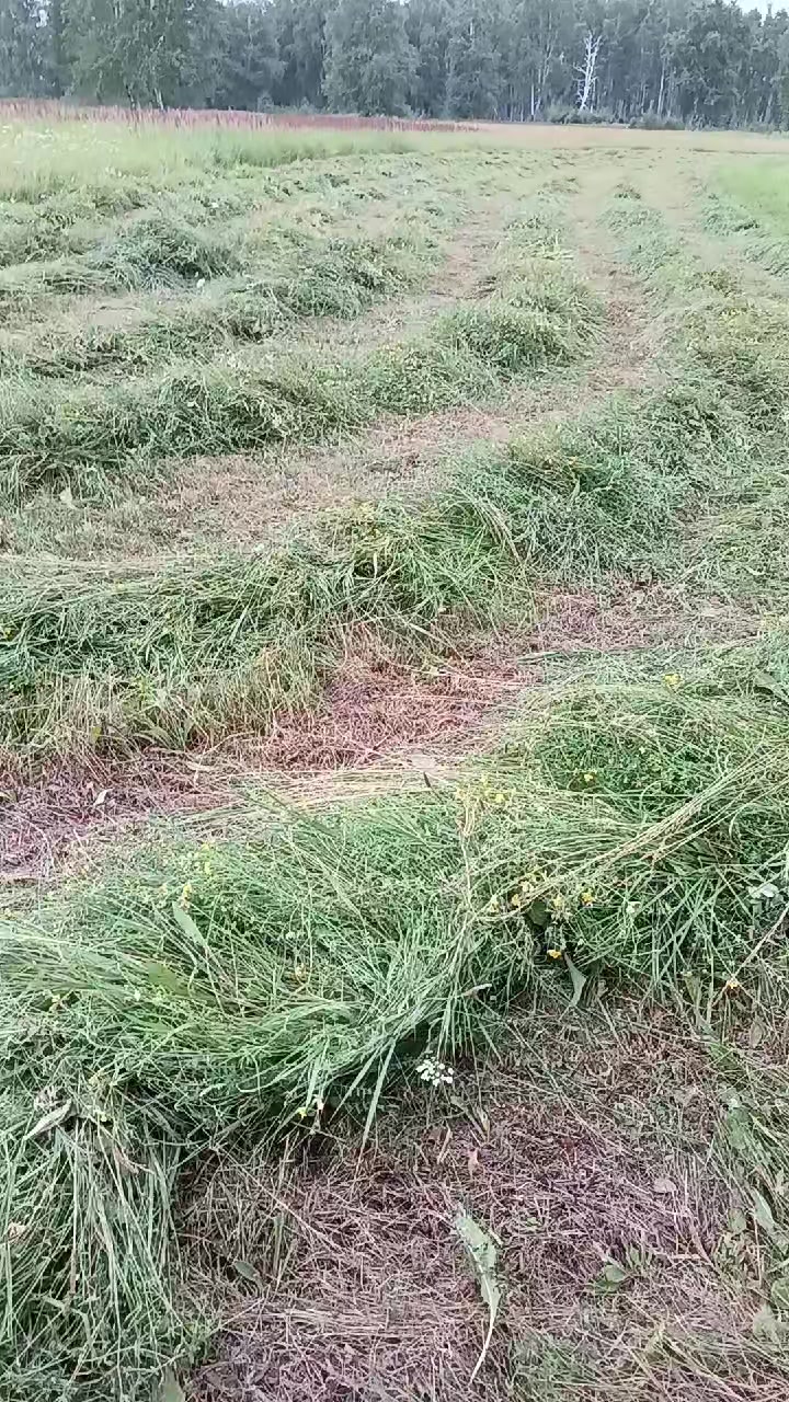 @55 Николайхрамов✌️✌️