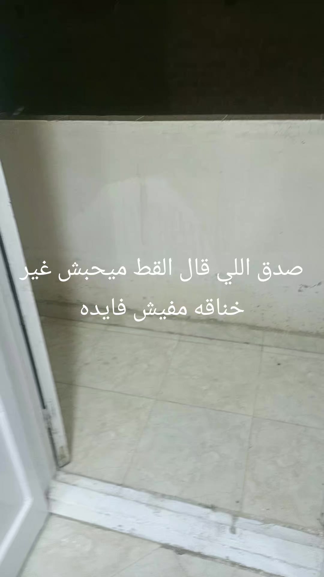 @Ghada _Al_Abyari_ غادة