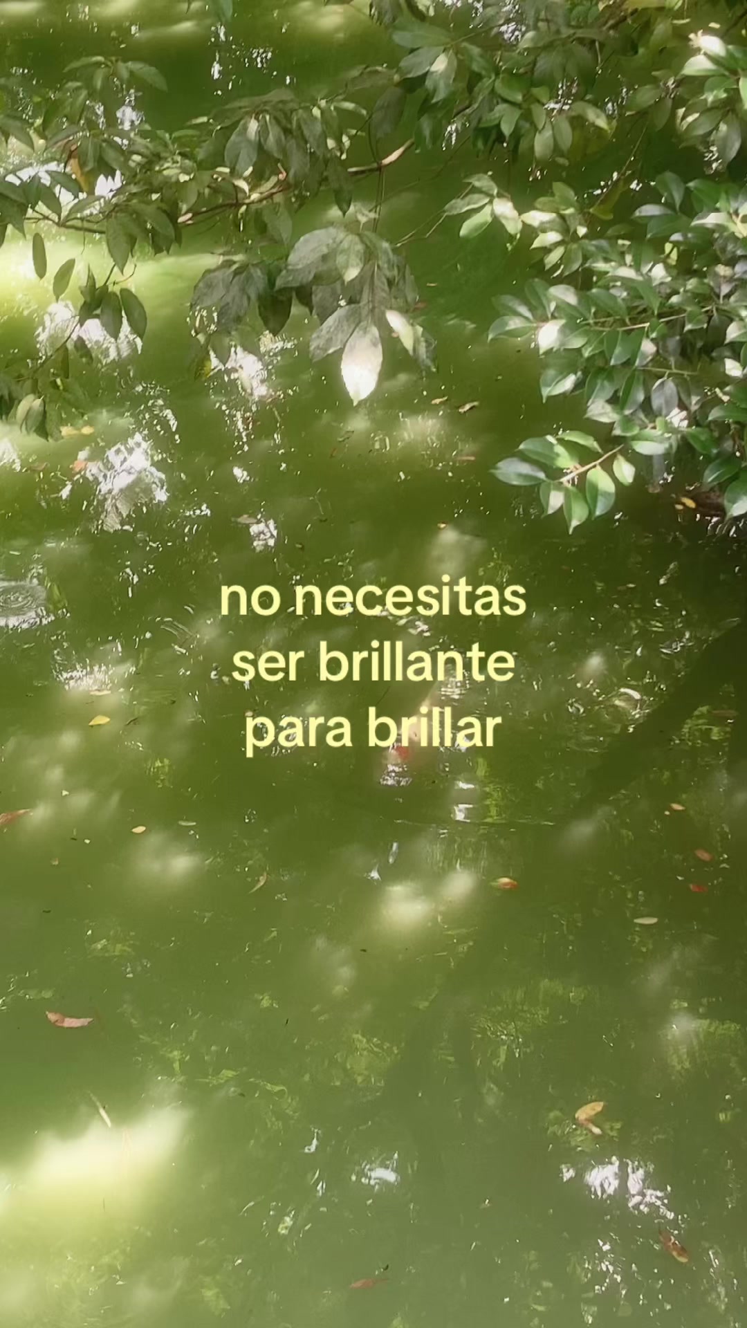 @CaracolArchives