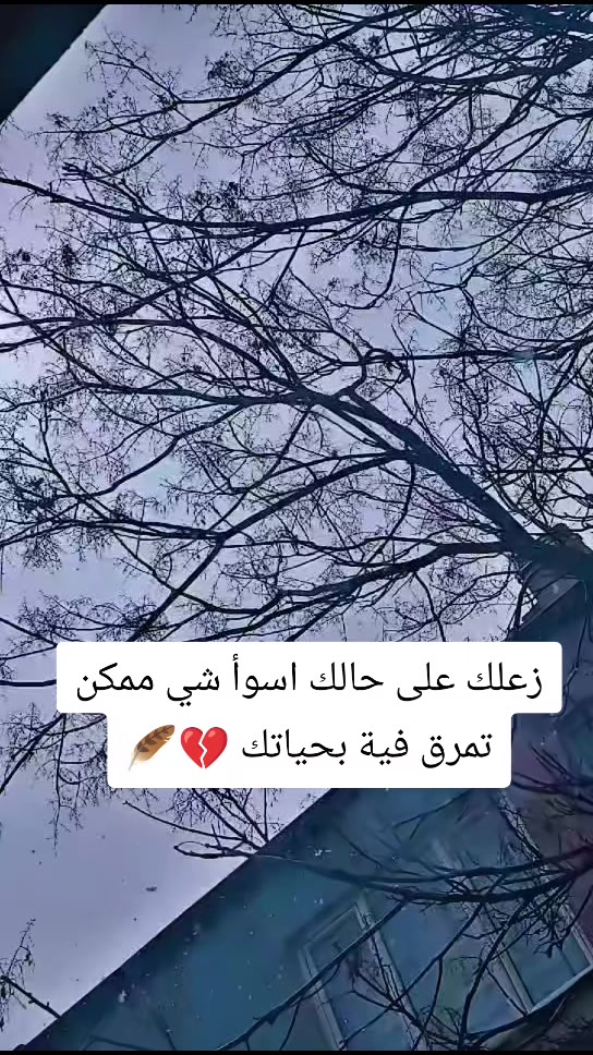 @𓍼𝖗𝖎𝖙𝖆🤎°•
