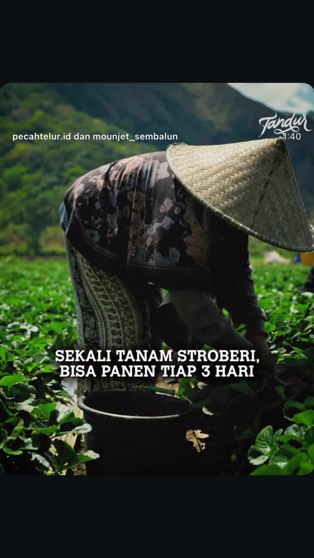 @Mounjet Sembalun