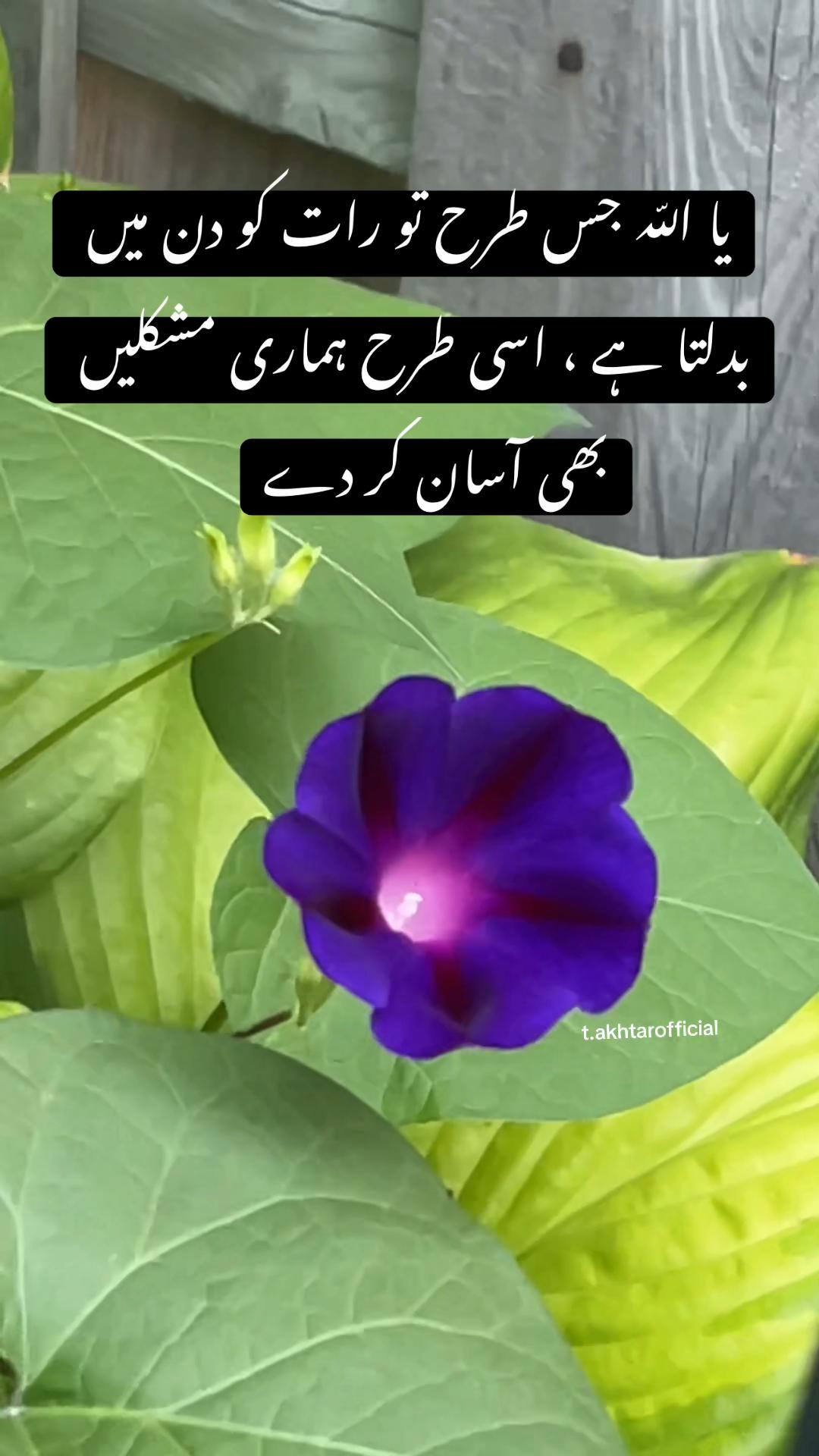 @T.Akhtar Official