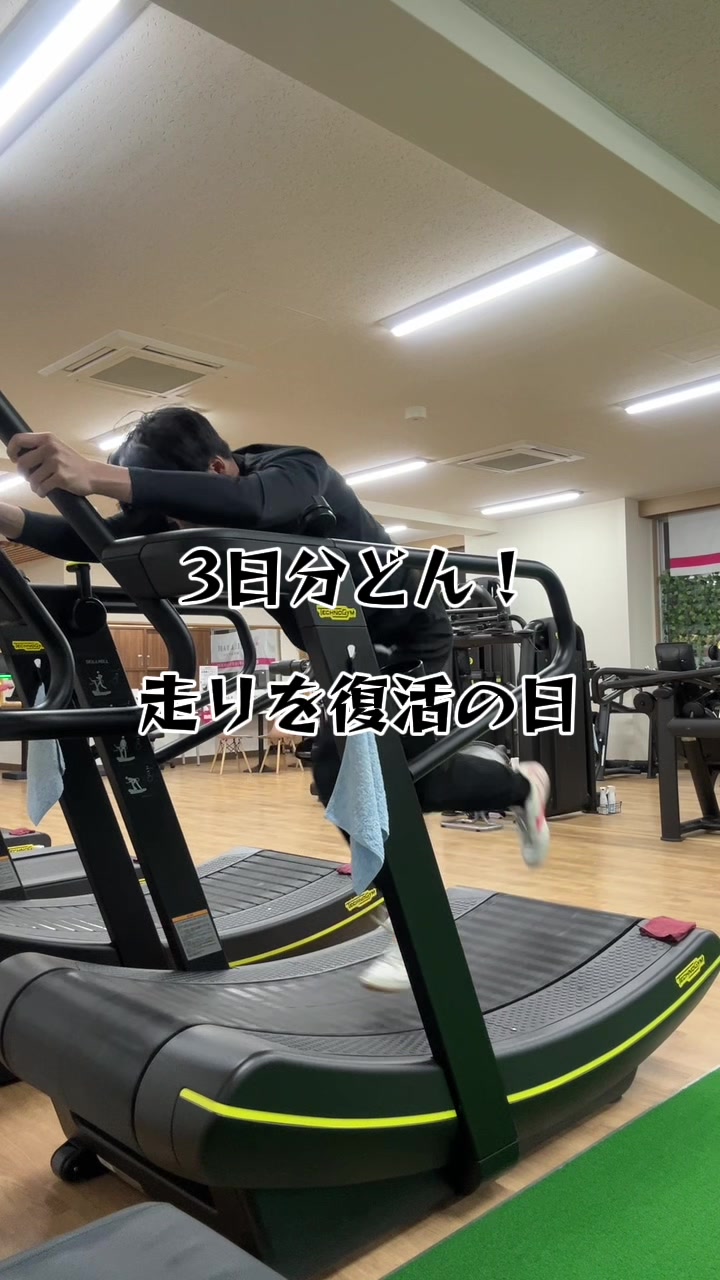 @イッヌ(棒高跳日本選手権目指す人)