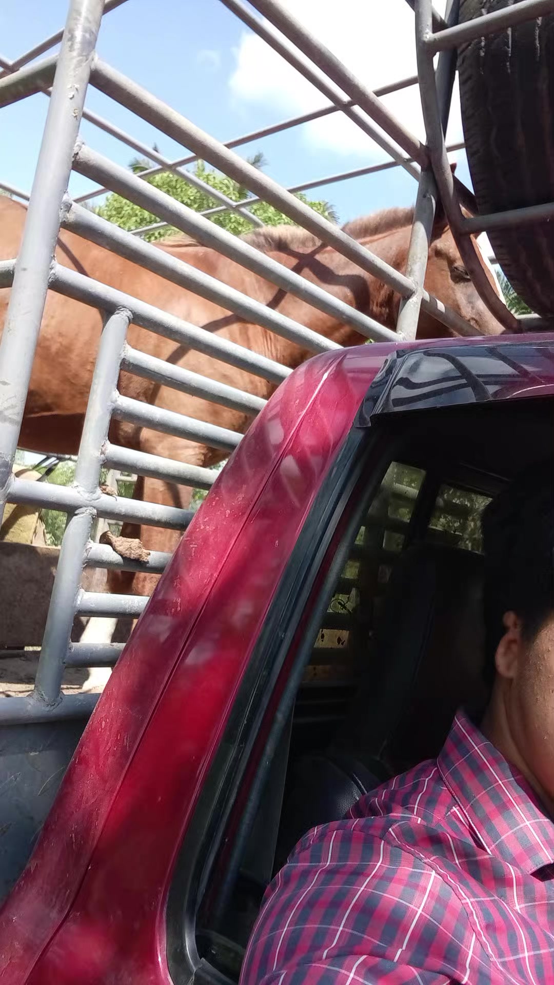 @vaquero 🤠 Lopez