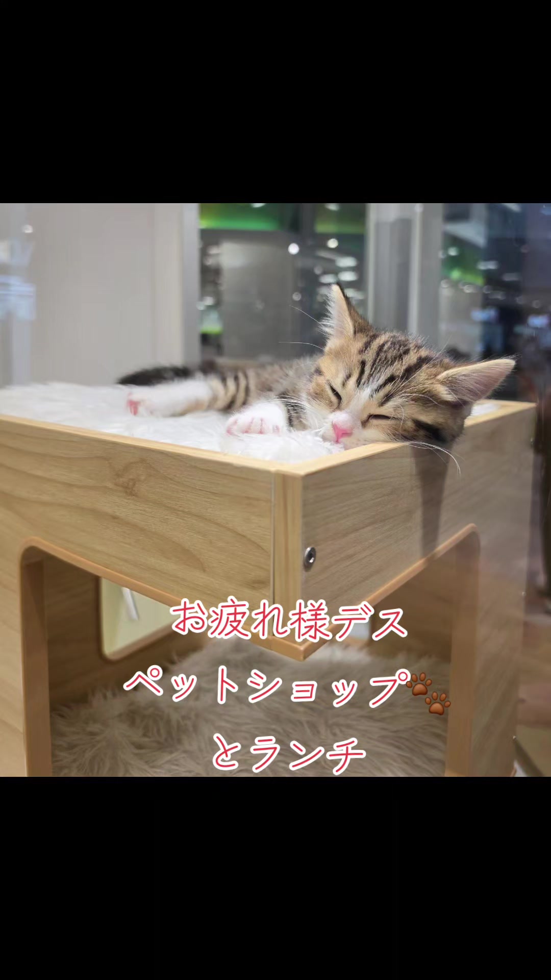 @MIKAPON💖