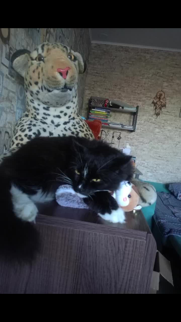 @Ольга