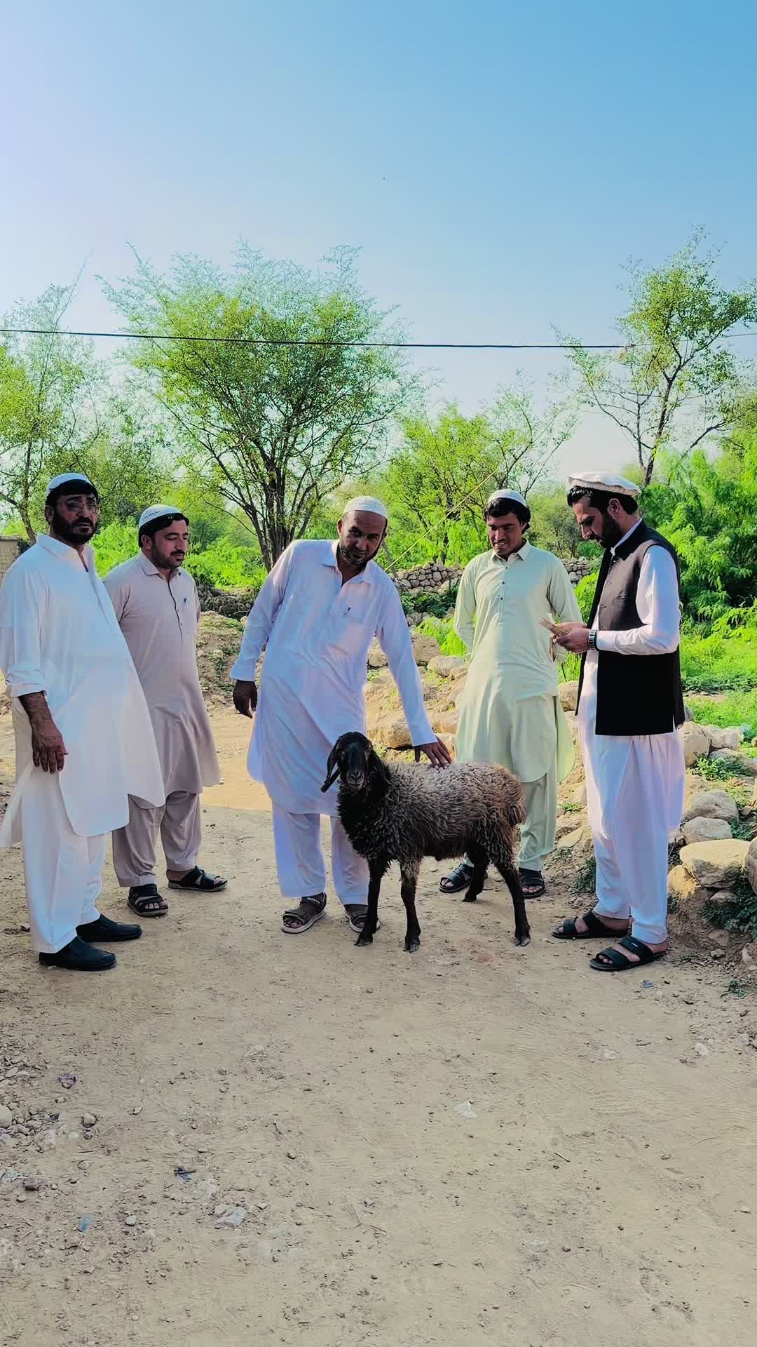 @Yaqoob🦋ALNoor Group of Travel