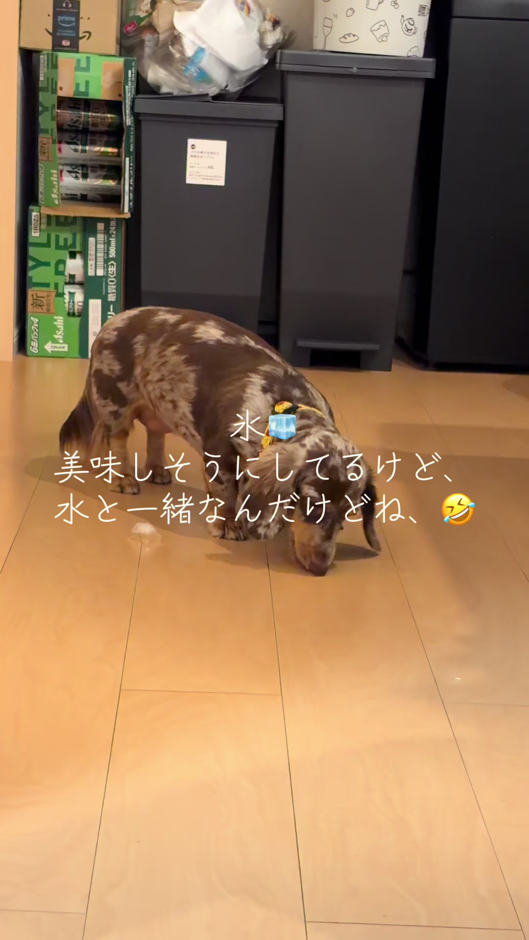 @ケン