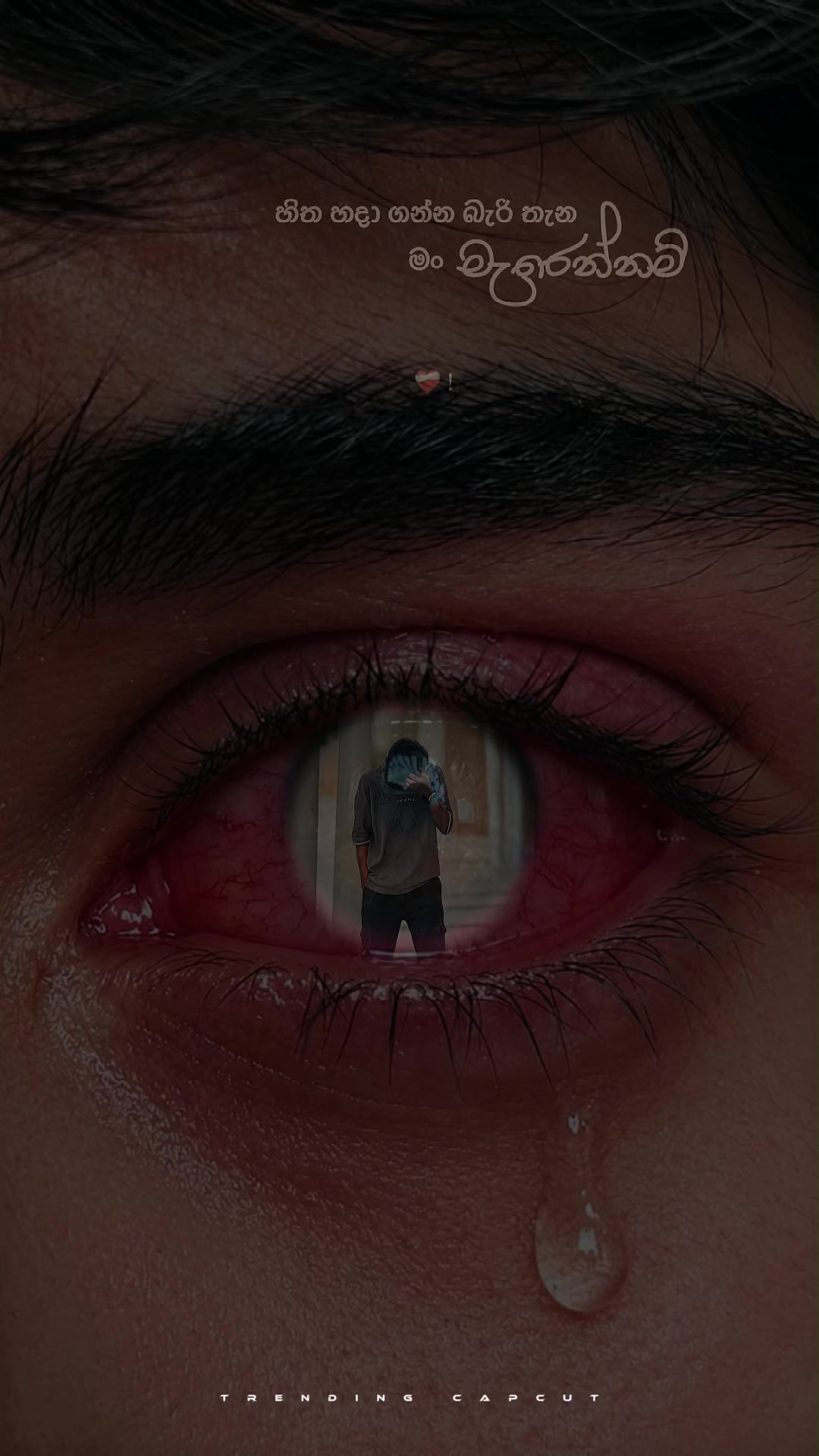 @රශි / Rashi / راشمي 🕷️❗️