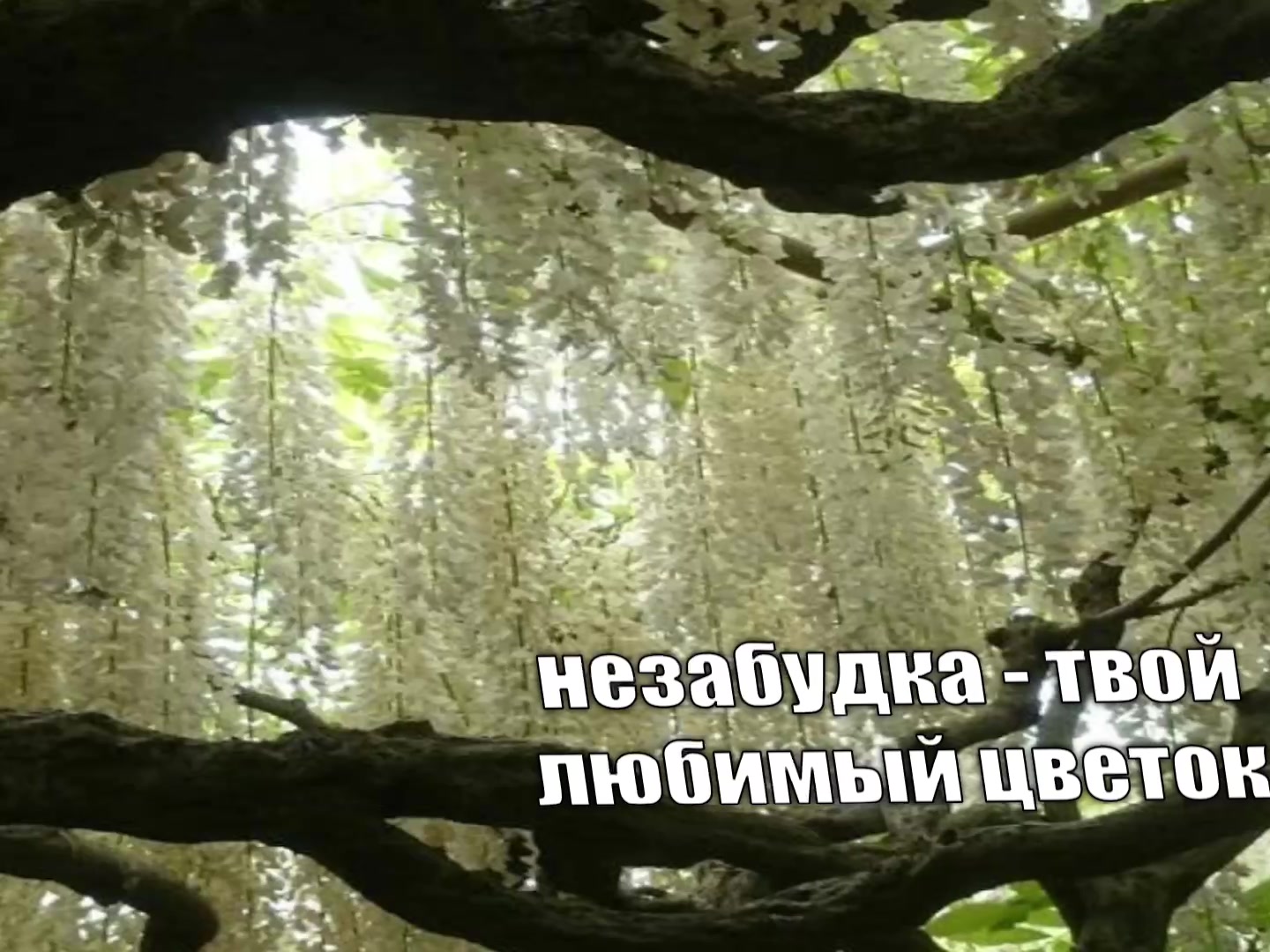 @музыка для липсингов