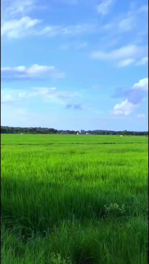 @Hosnati