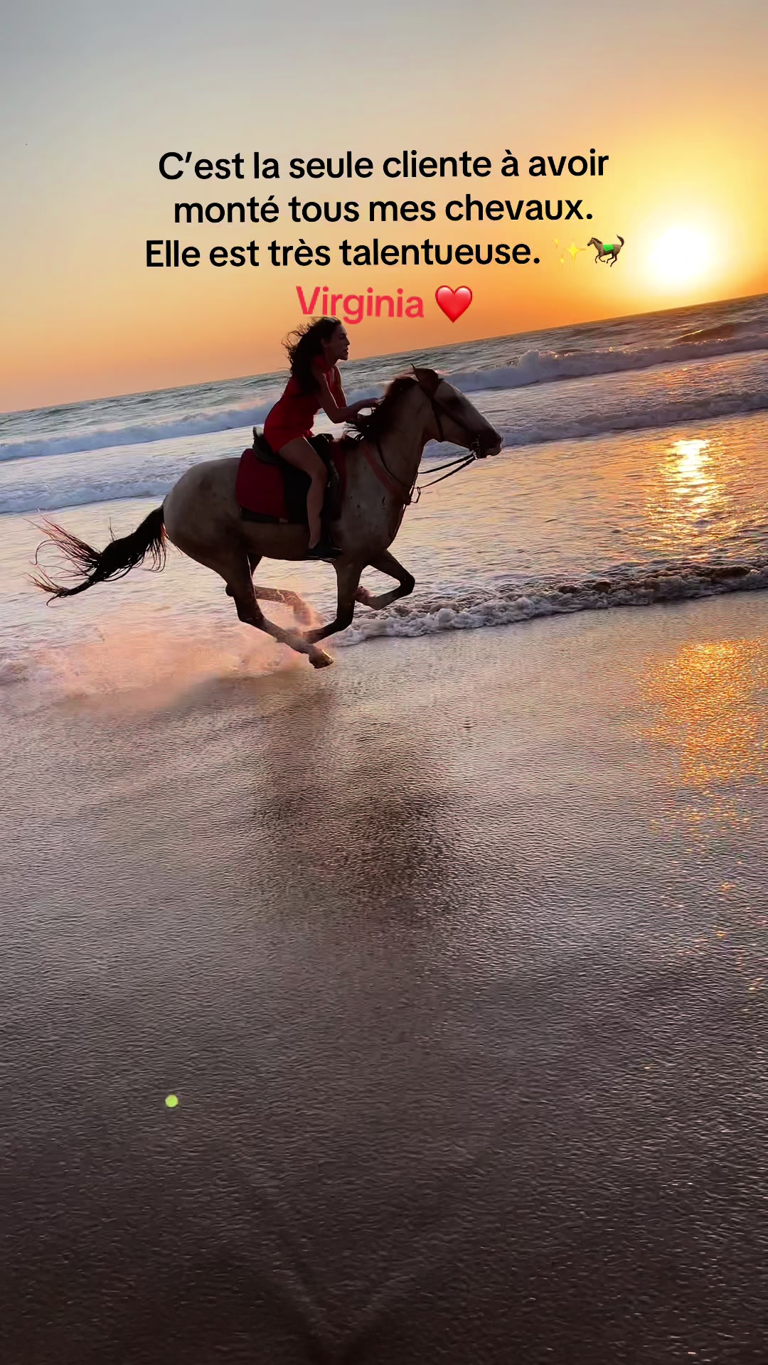 @Cheval_agadir