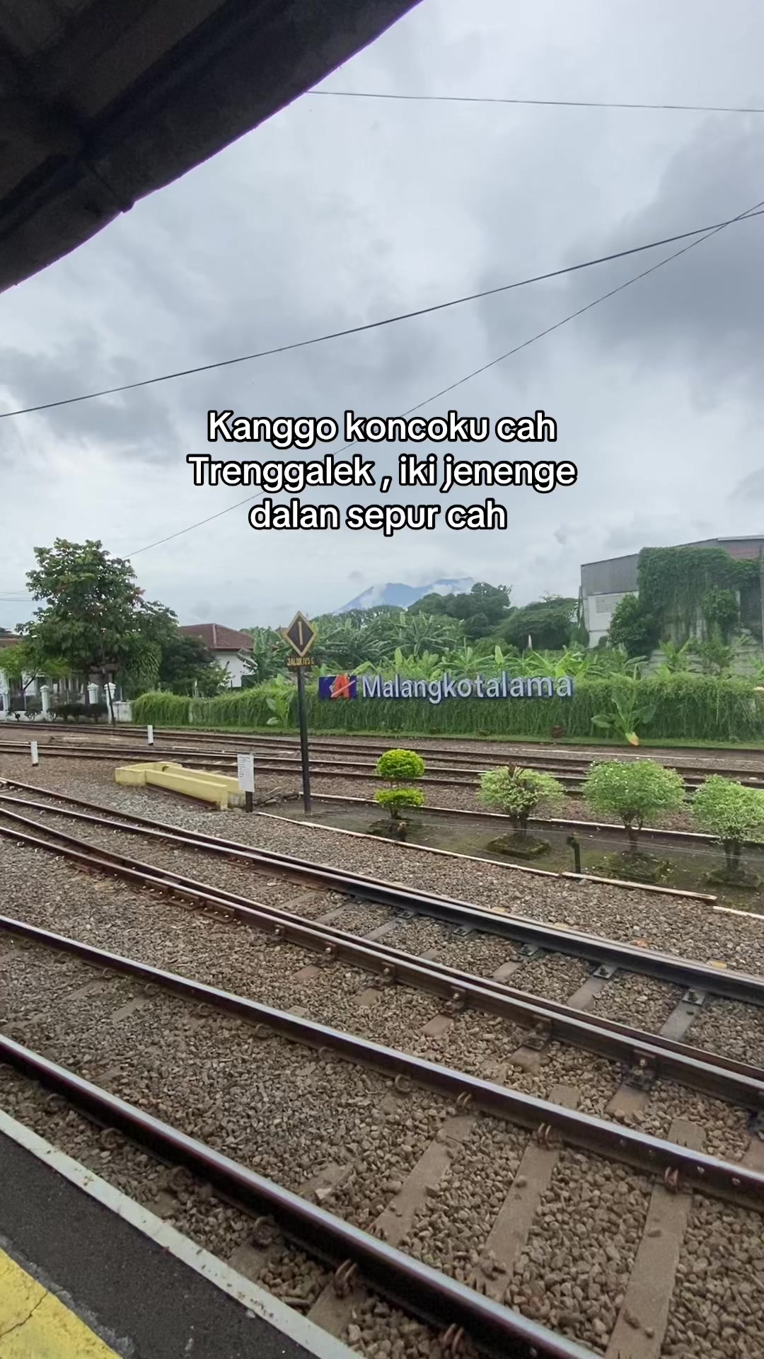 @NONA JEPANG