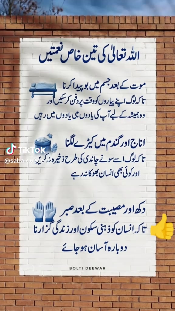 @jatT Brand🥰