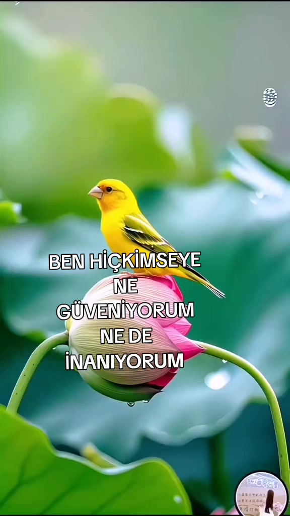 @👉 Avşar 👉 Kızı 💯