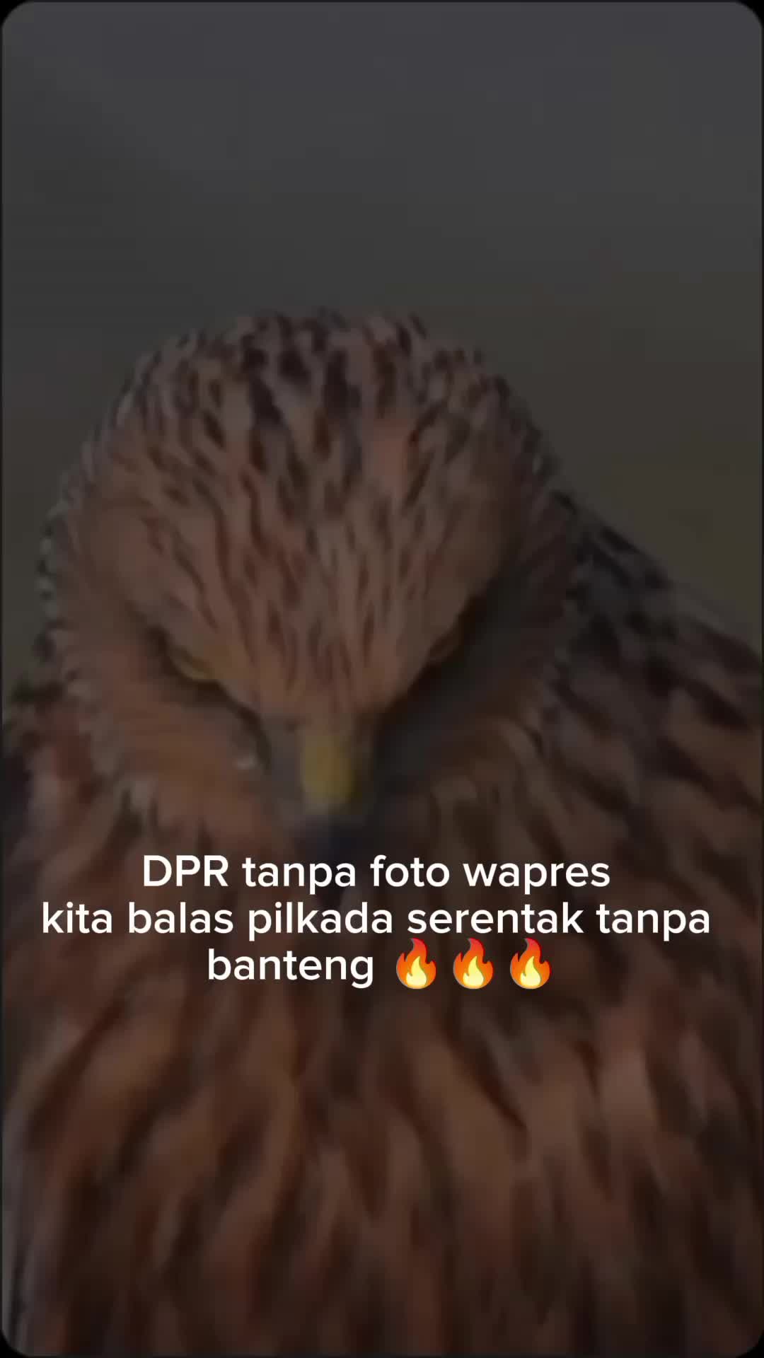 @JOWO STORY🥀