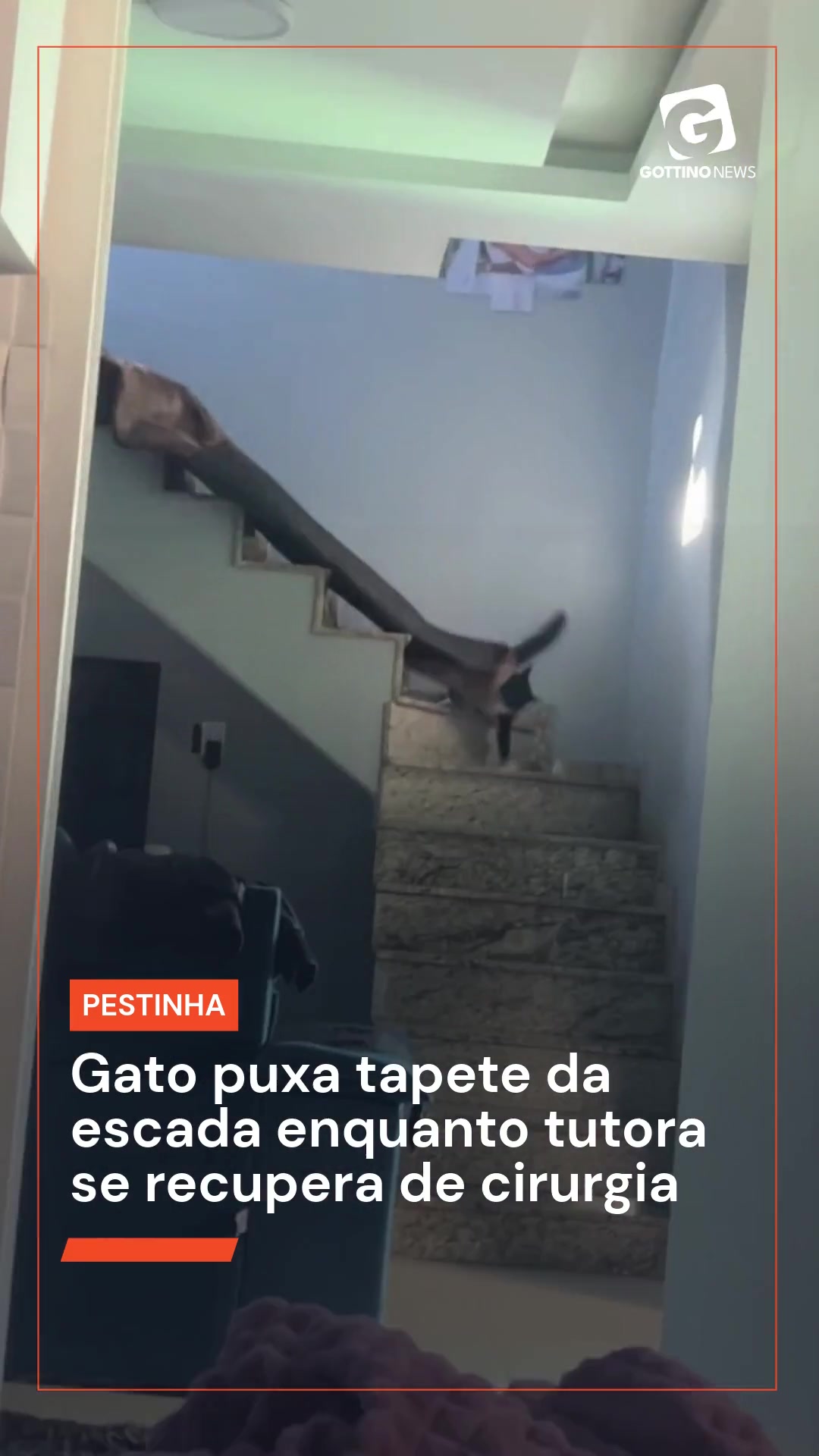@Reinaldo Gottino