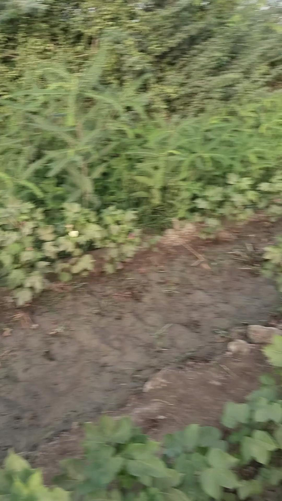 @Mukesh kumar kolhi