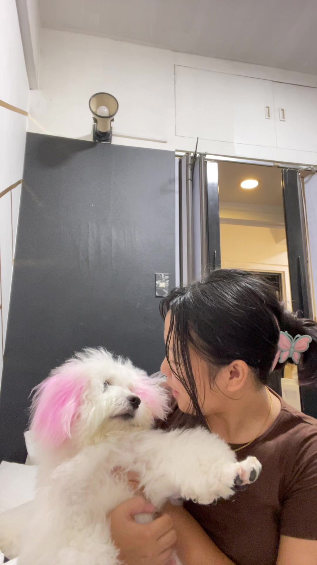 @CUCCI THE BICHON