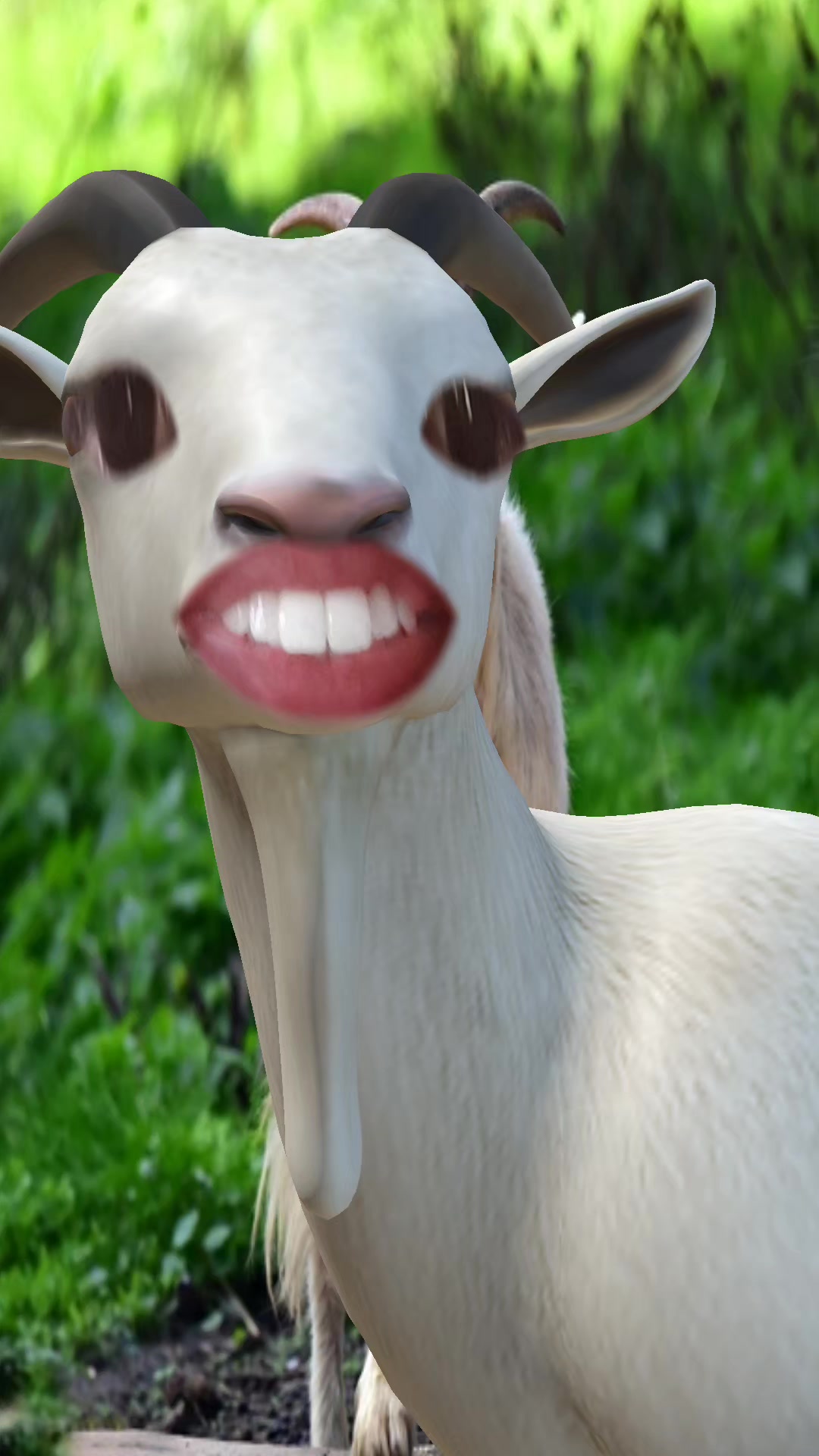 @Dany Alves
