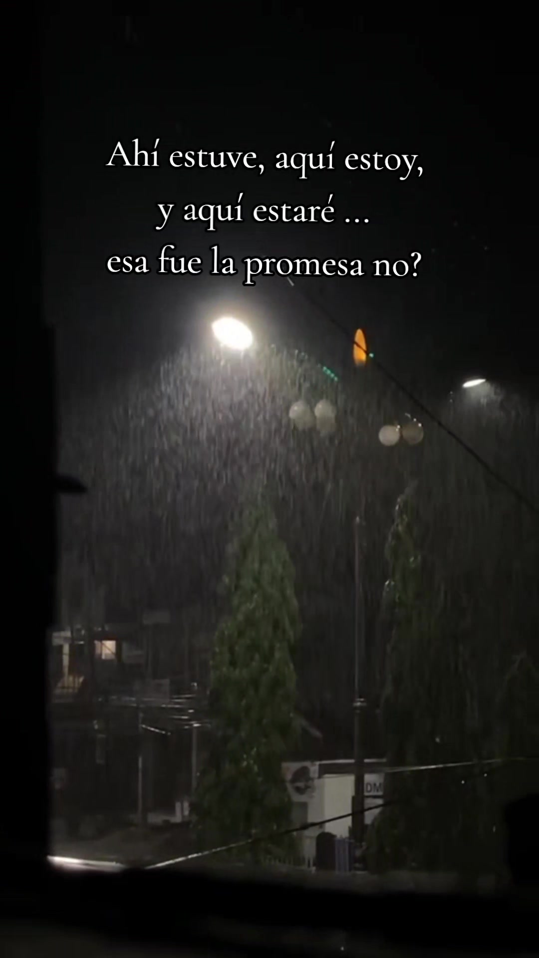 @naay.vg
