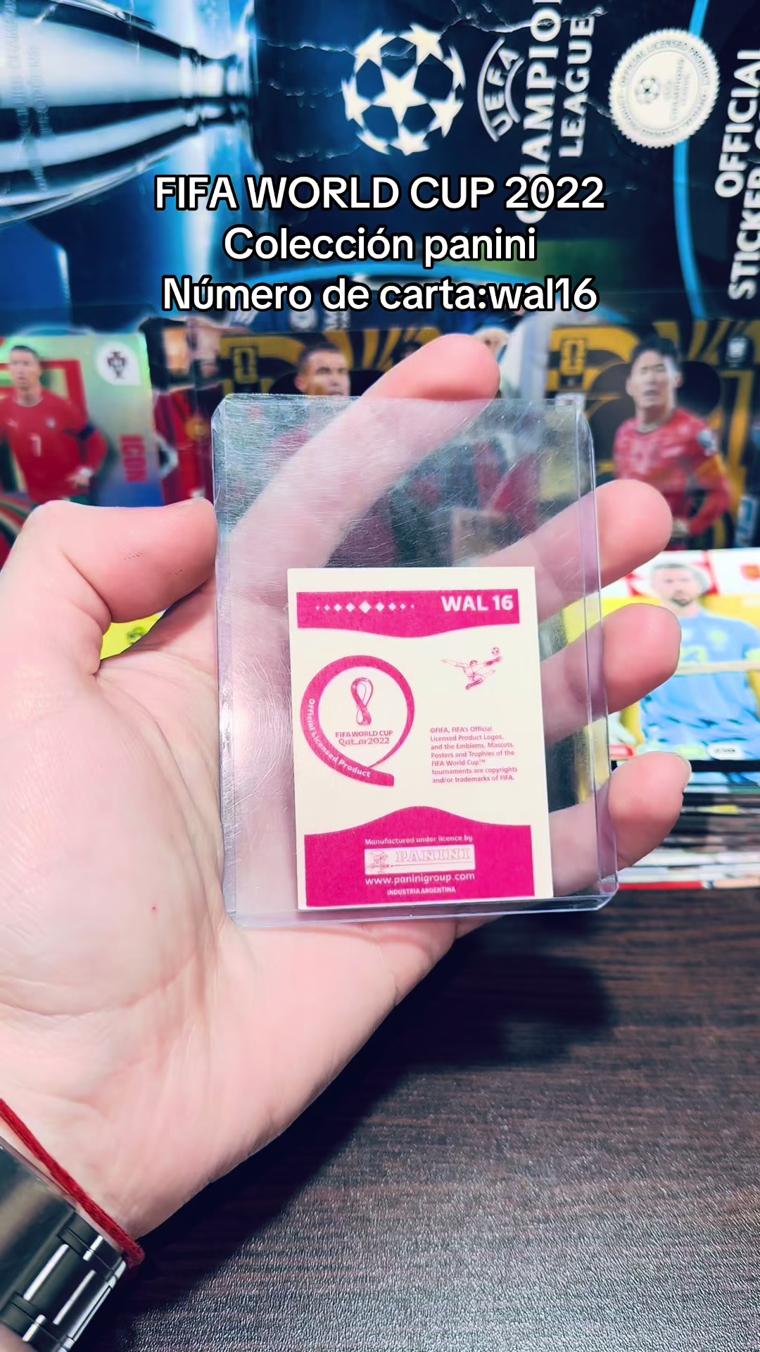 @coleccionistadecartas