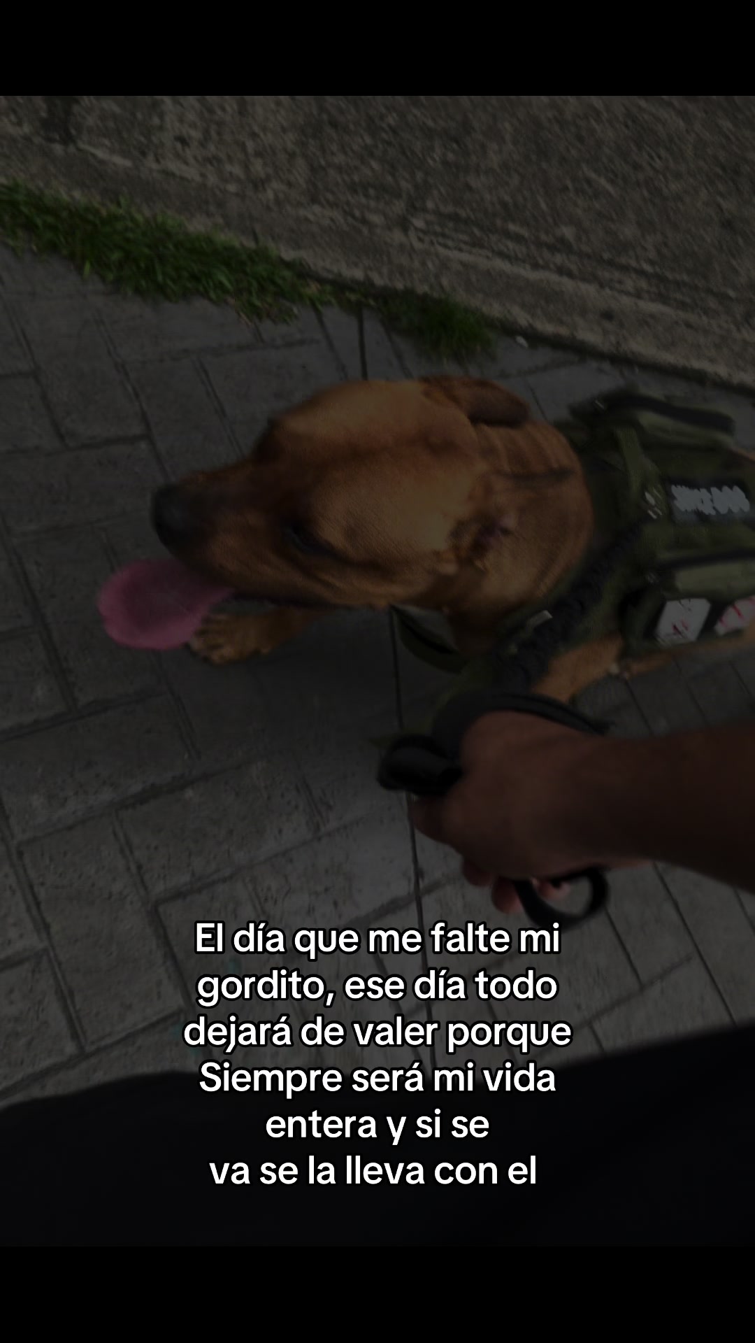 @Maycol 🌩️