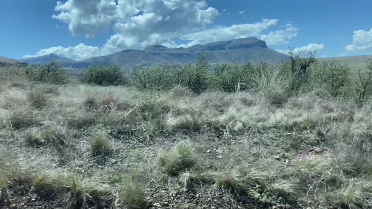 @ZANDIE SA🇿🇦