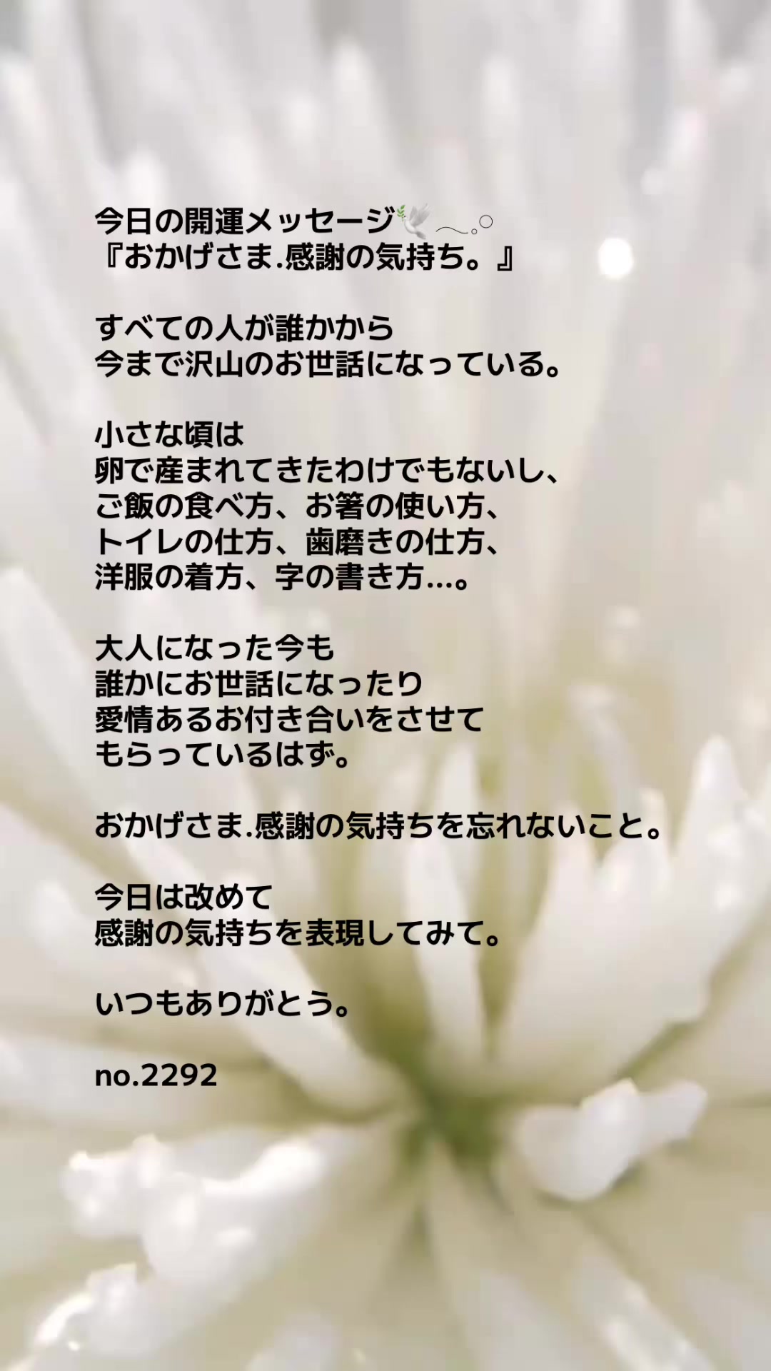 @あま姐さん🫧霊視ヒーラー