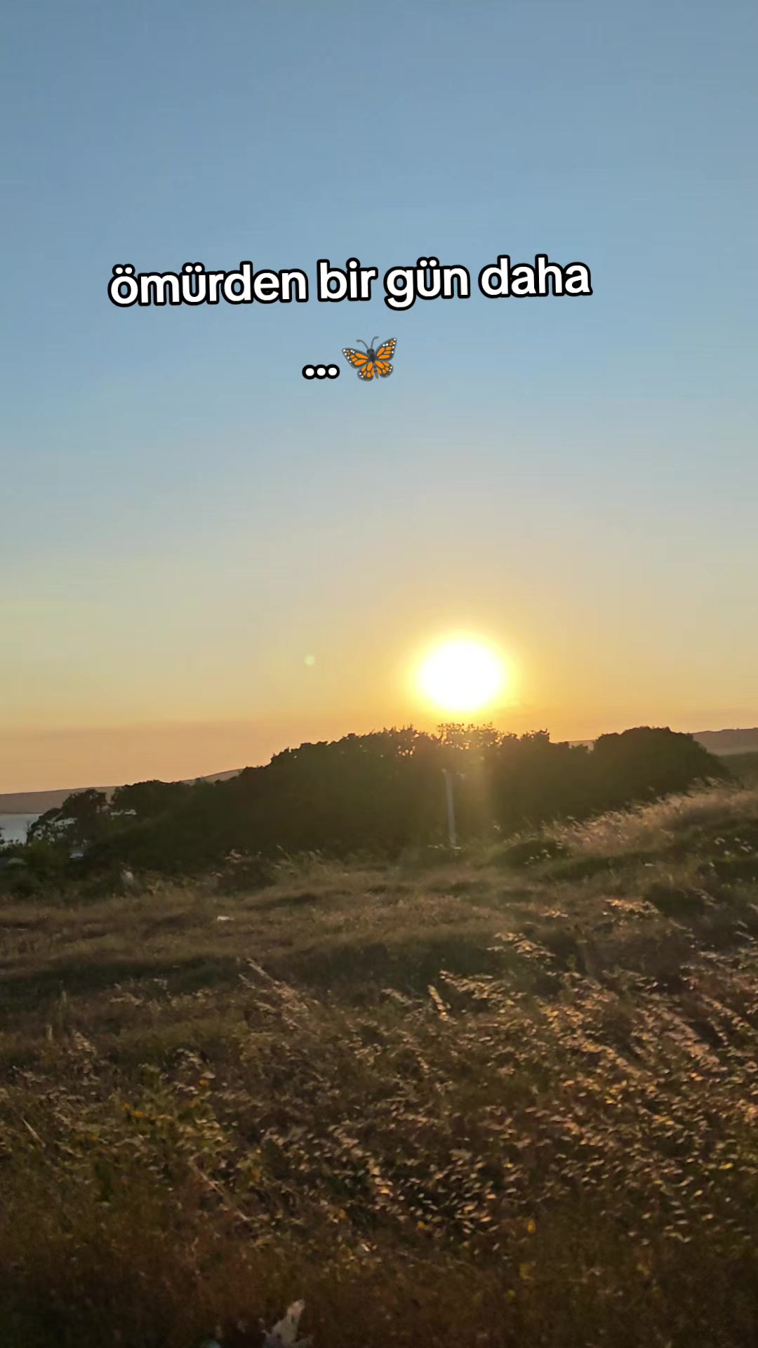 @g&uuml;l_ygt34