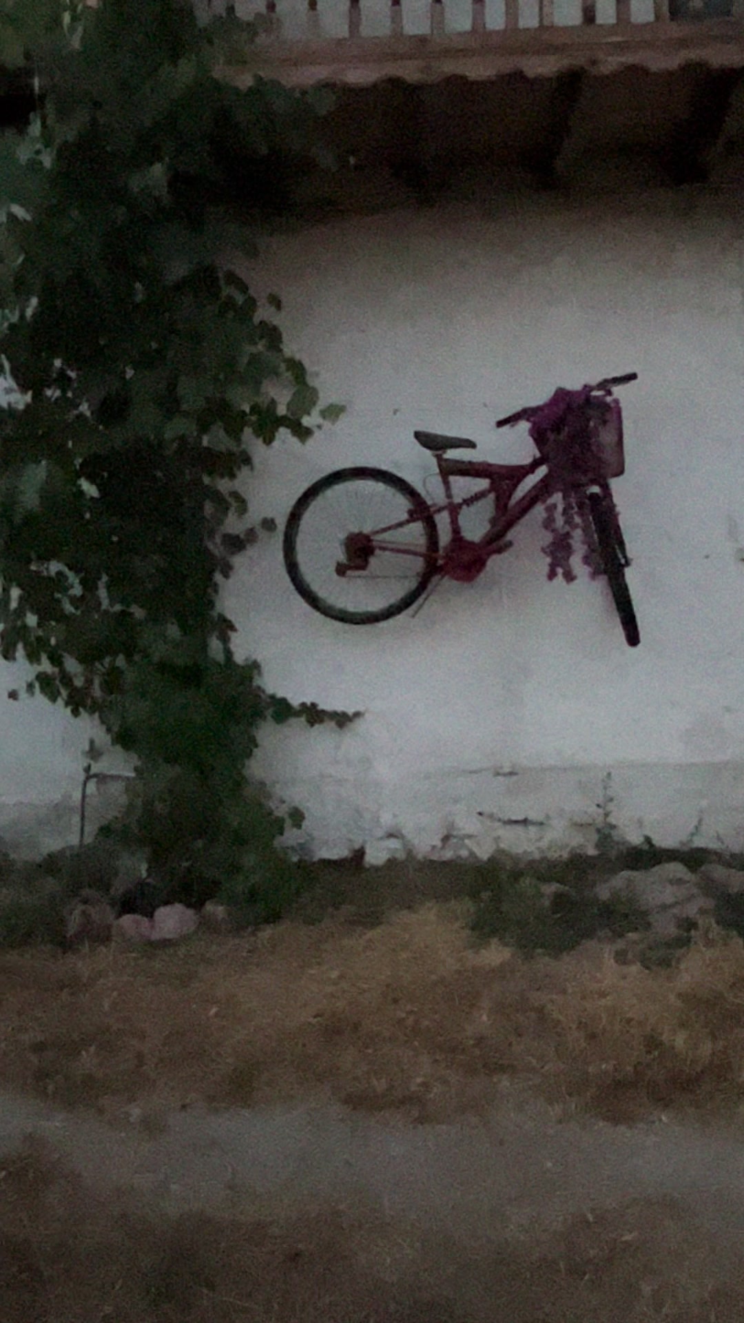 @Çiçinin köy evi