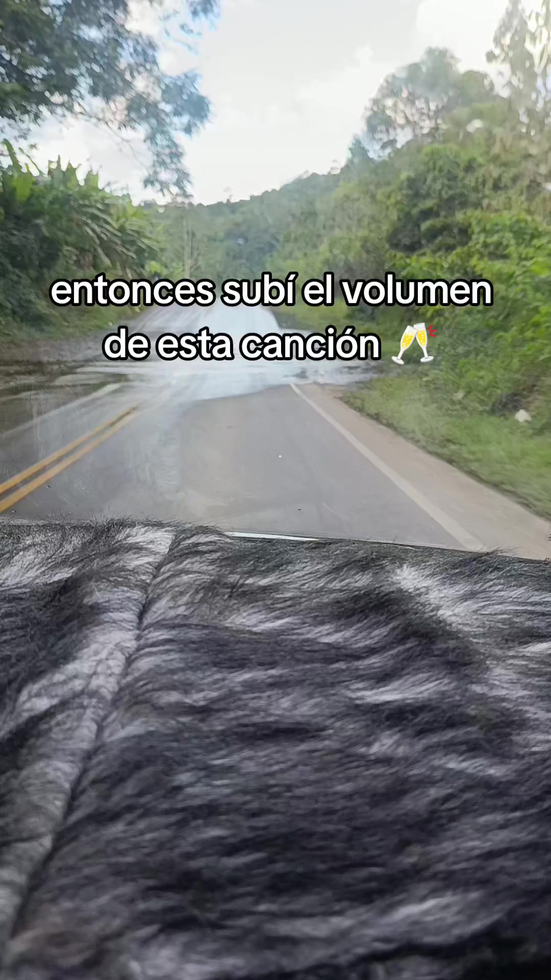 @Ricitos 🪙