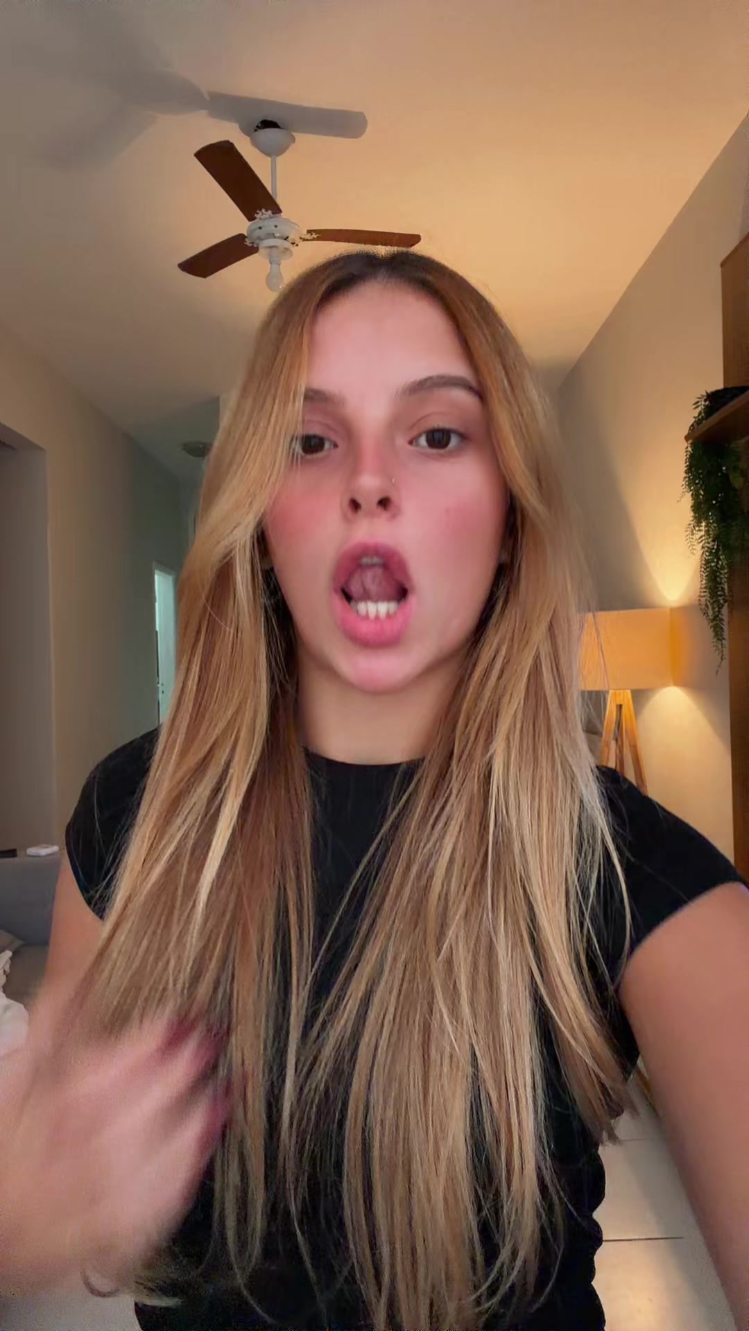 @tozetto