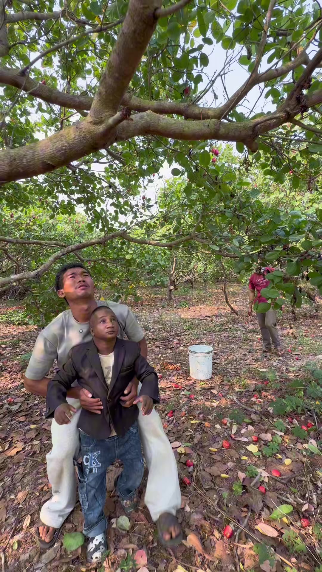 @គ្រូតូច