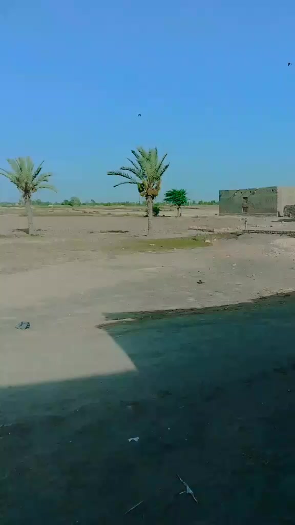 @shahbaz