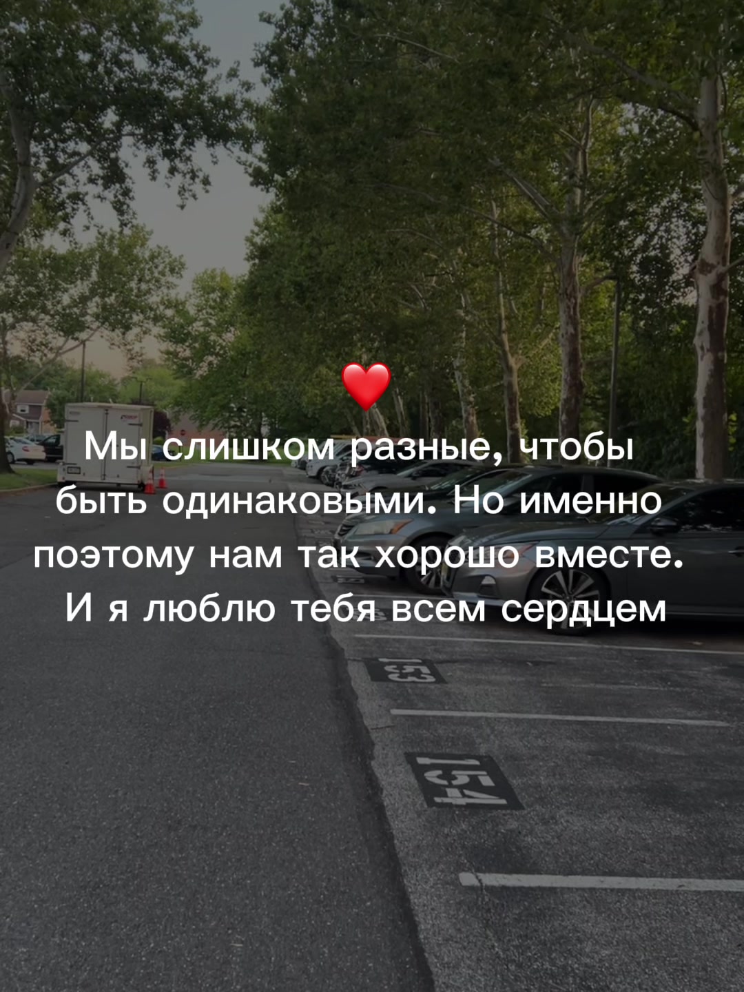 @muzdogz