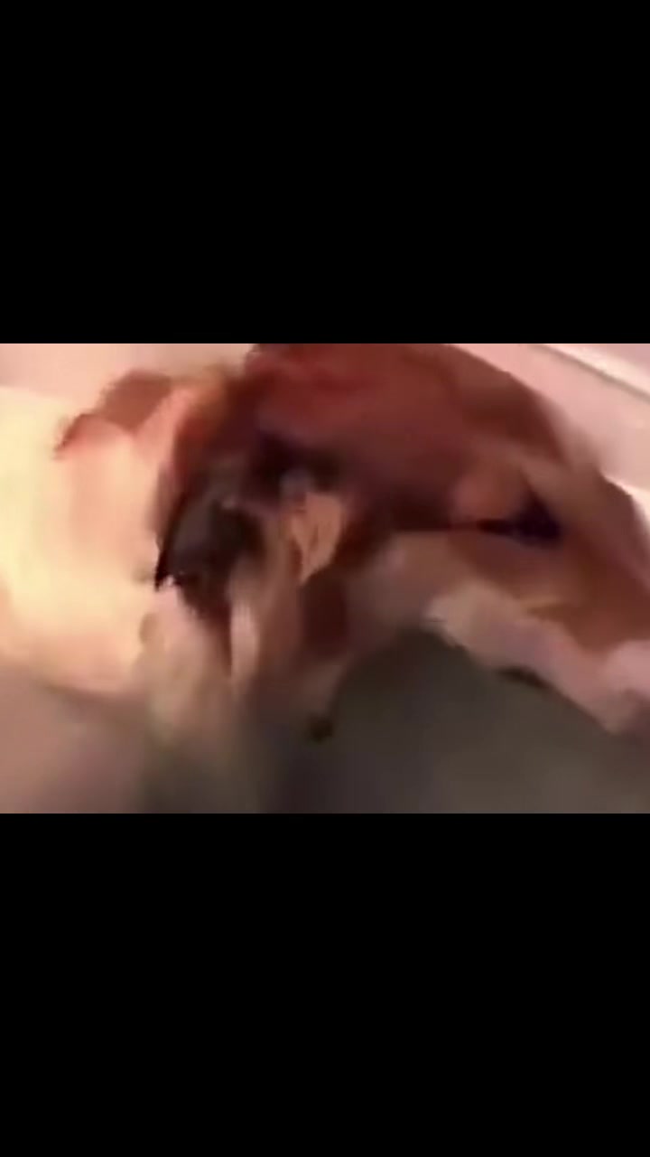 @yumiuwu99