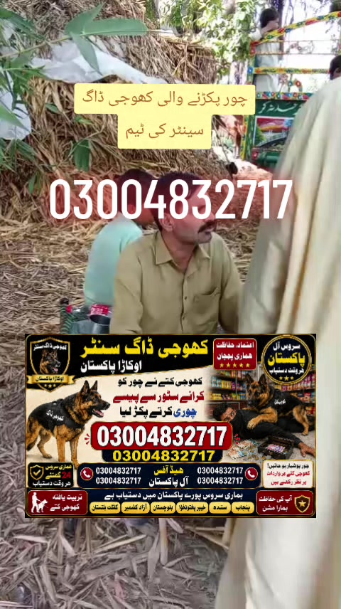 @khoji dog contact number